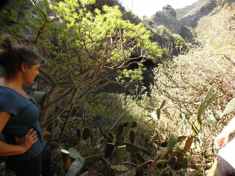 Persona rodeadas de plantas