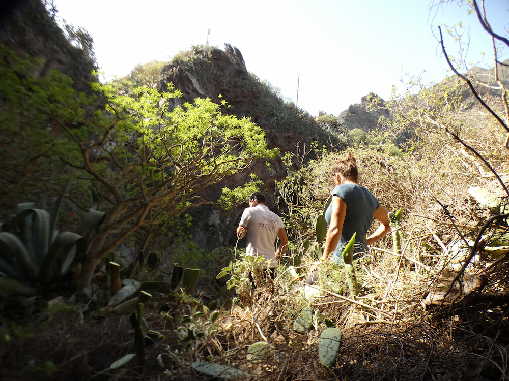 Persona rodeadas de plantas