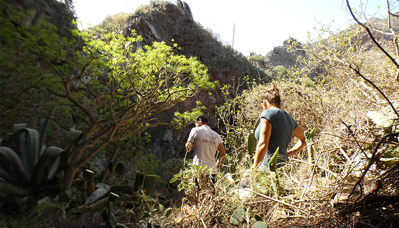 MEMORIA DEL CASERÍO DE LAS PALMAS, BUENAVISTA DEL NORTE