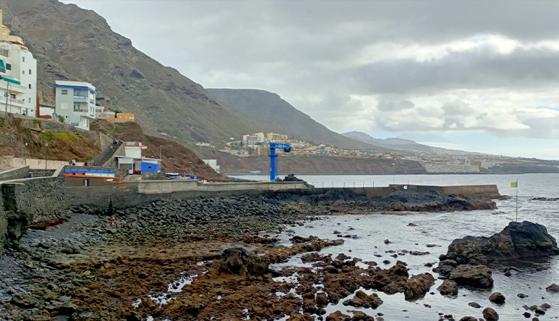 COLABORACIÓN ADMINISTRATIVA Y DE GESTIÓN CON EL GRUPO DE ACCIÓN COSTERA DE TENERIFE