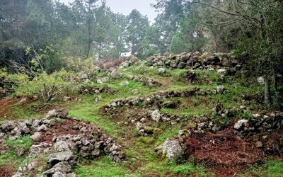 PROSPECCIONES CUEVA DEL VIENTO